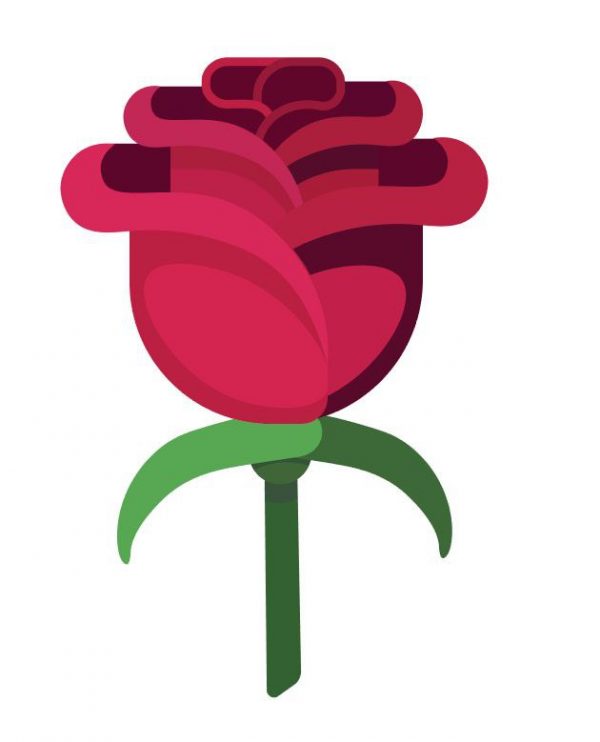 Простой способ нарисовать розу в Adobe Illustrator CS5