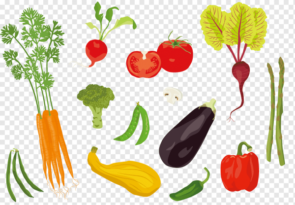 Томатный иллюстратор Adobe, овощной